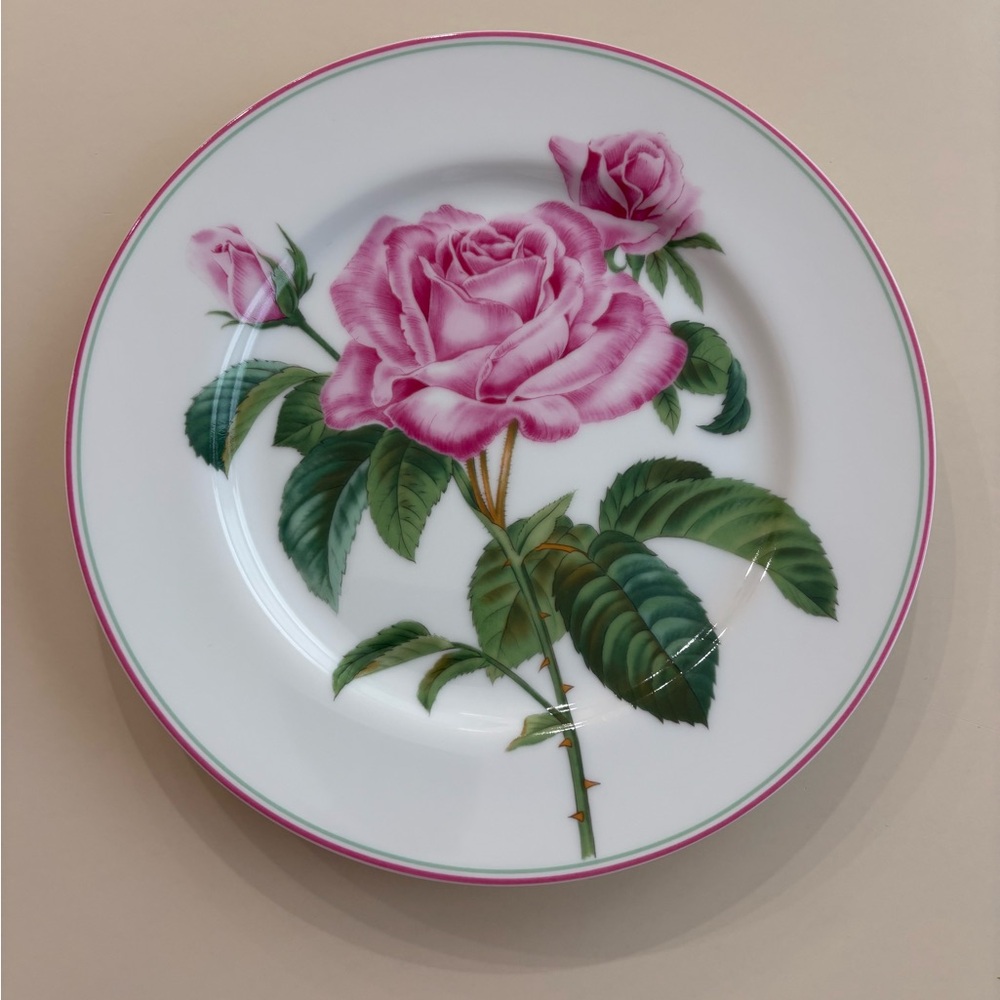Floral Pink and Green Porcelain dessert plates